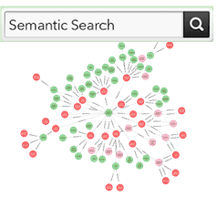 BizSemantic